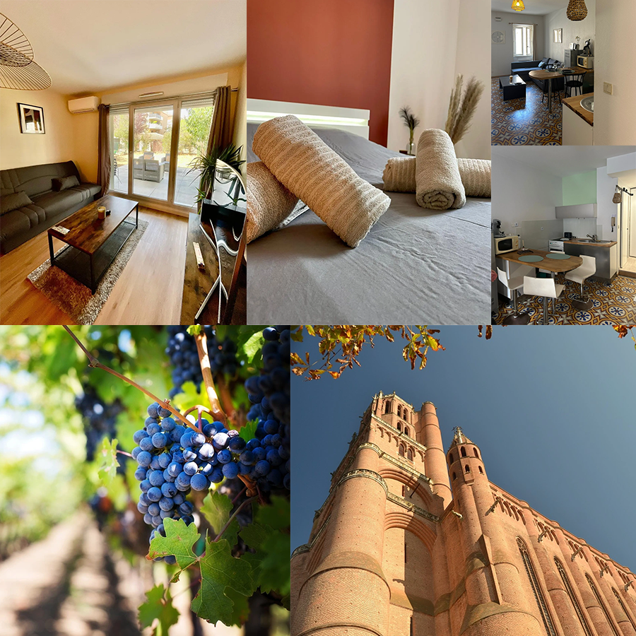 Conciergerie Good House Albi